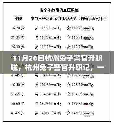 杭州兔子警官升职记，一次特别的里程碑事件庆祝升职庆典