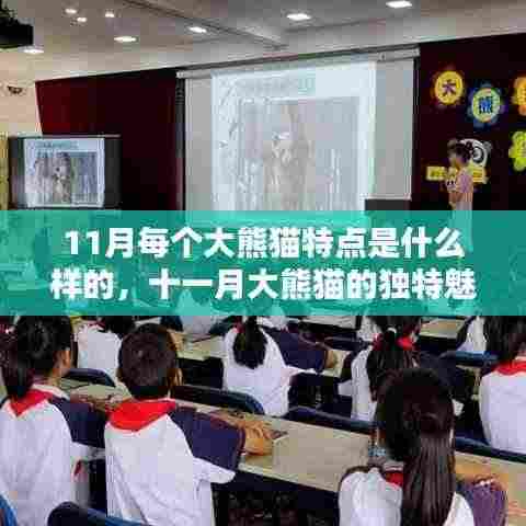 十全十美 第5页