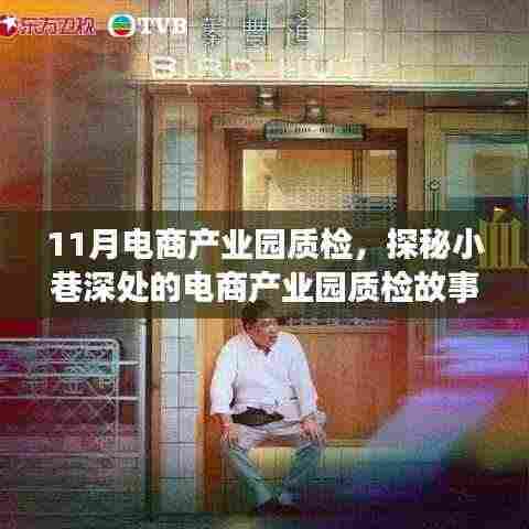 探秘电商产业园质检背后的故事,一家特色小店的非凡历程(11月电商产业园质检报道)