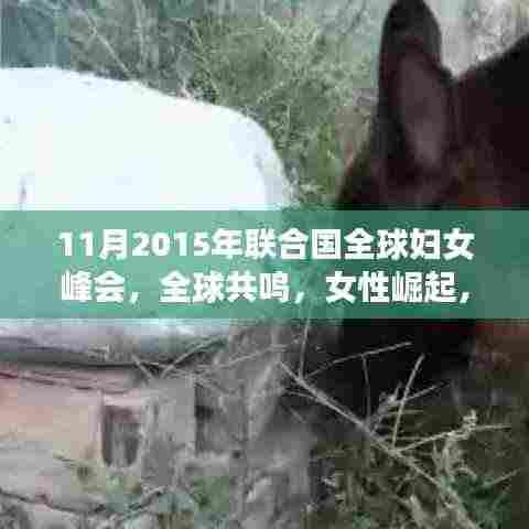 全球共鸣,女性崛起与联合国全球妇女峰会的深刻影响(2015年)