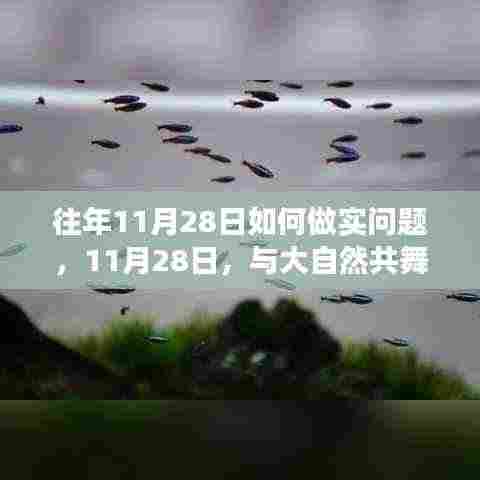 11月28日寻找内心平静之旅,与大自然的共舞和做实问题的探索