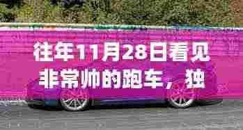 独家评测,往年11月28日惊艳亮相超级跑车之全面剖析与深度体验