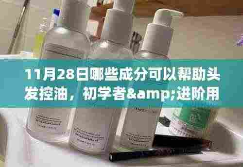 11月28日头发控油秘籍,控油成分解析与实操指南,适合初学者与进阶用户!