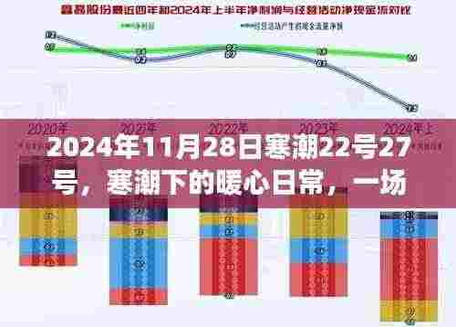 寒潮下的暖心日常,一场不期而遇的冬日趣事,记录于2024年11月28日