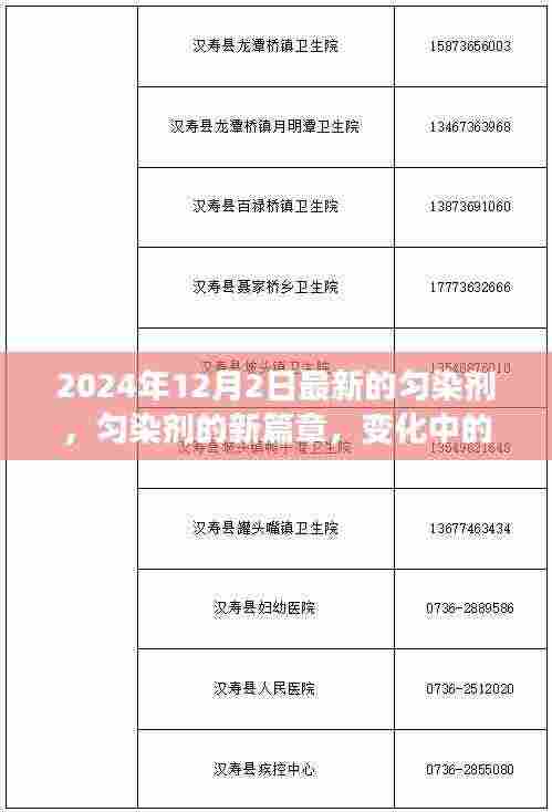 匀染剂新篇章,探索变化中的学习之路,自信成就感的魔法源泉