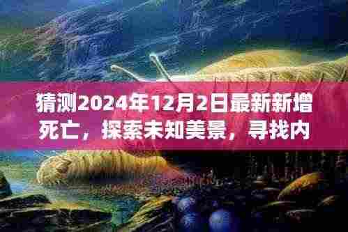2024年12月2日奇迹之旅,探寻未知美景,寻找生命平静