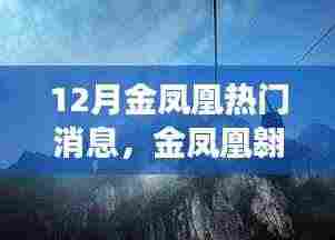 12月金凤凰翱翔全景解析,热门消息一览