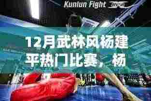 12月武林风杨建平热门比赛,杨建平武林风巅峰对决,武林风杨建平热门比赛的深度解析
