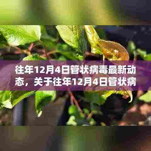 往年12月4日管状病毒最新动态解析与应对策略指南,全面洞悉疫情动态,科学防范风险挑战