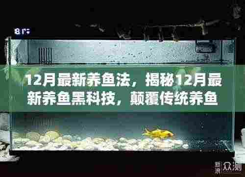 揭秘,最新养鱼黑科技,颠覆传统养鱼体验——12月最新养鱼法解析!
