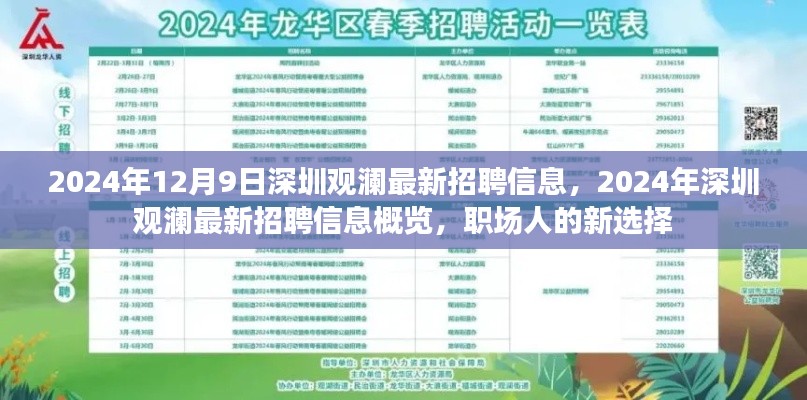 2024年深圳观澜最新招聘信息概览,职场人的新选择