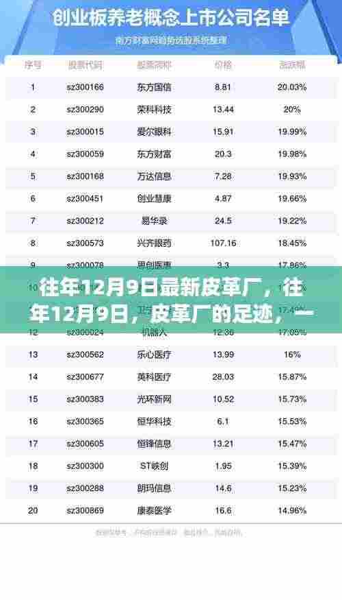 往年12月9日皮革厂足迹,自然美景探索之旅