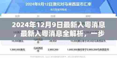 2024年最新入粤消息全解析,掌握必备技能与知识的步骤