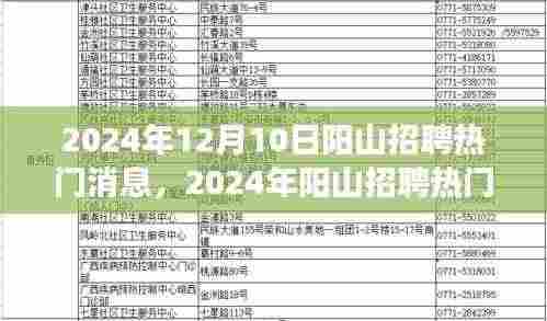 阳山招聘热门消息下的职场前景探析,展望至2024年
