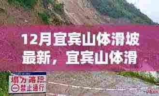 宜宾山体滑坡最新动态与防范应对指南，初学者到进阶用户的必备知识