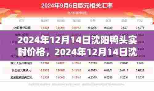 沈阳鸭头实时价格分析,市场趋势与购买建议(2024年12月)