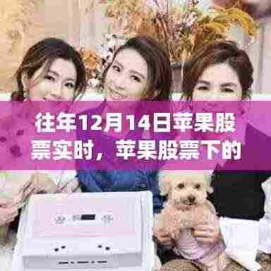 苹果股票背后的暖心日常,友谊与陪伴的感人故事