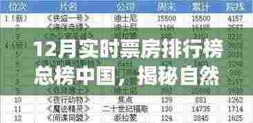 中国十二月票房巅峰之旅,自然之美与微笑的秘密港湾