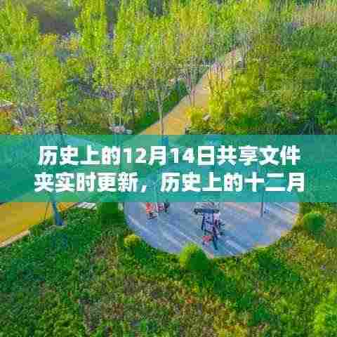 历史上的十二月十四日,共享文件夹实时更新及其影响