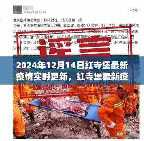 红寺堡最新疫情实时更新报告(聚焦解读,日期,2024年12月14日)