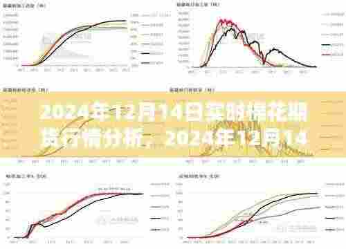 2024年12月14日棉花期货行情深度解析与实时动态分析