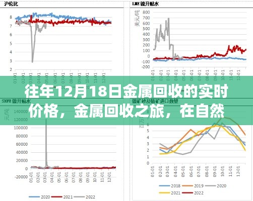 金属回收实时价格,在自然的怀抱中探寻内心的宁静与喜悦之旅