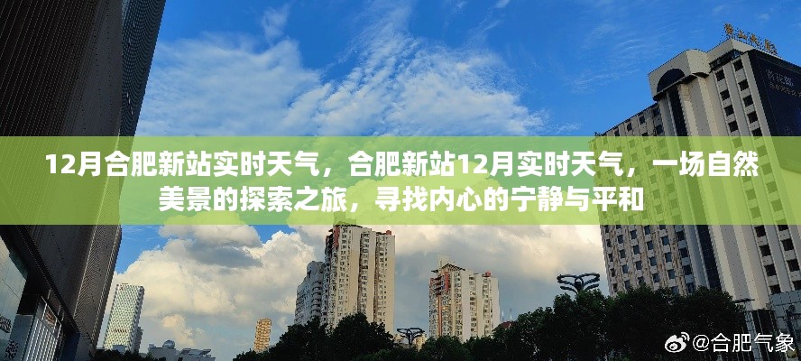 合肥新站12月实时天气探索之旅,自然美景与内心宁静的寻觅