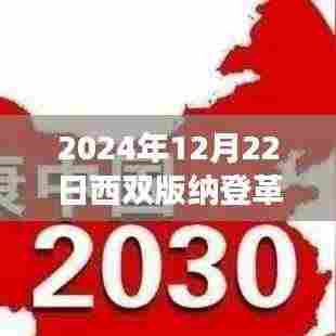 2024年12月22日西双版纳登革热实时新闻聚焦，疫情进展与观点碰撞