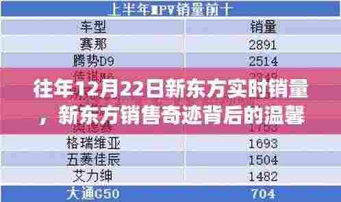 新东方冬至销售奇迹背后的温馨故事,历年12月22日实时销量揭秘