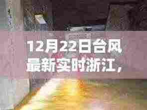 浙江遭遇猛烈台风袭击，最新实时动态与深远影响（12月22日更新）