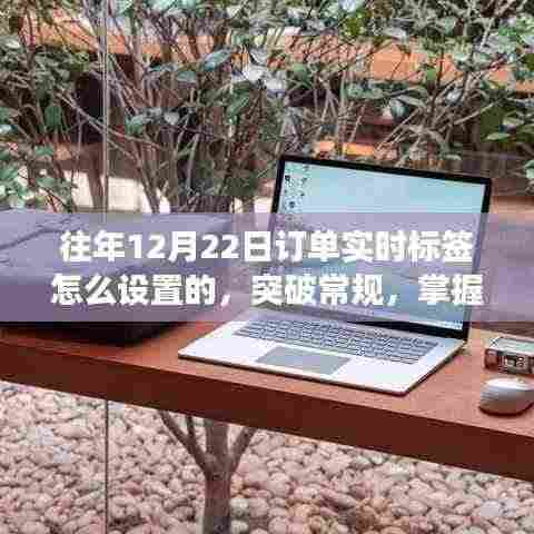 励志之旅，突破常规，掌握新技能——如何在往年12月22日设置订单实时标签的秘诀与经验分享