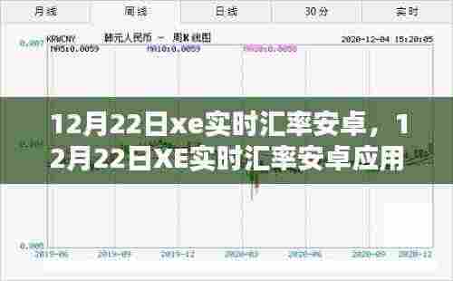XE实时汇率安卓应用指南，从初学者到进阶用户的安装与使用详解