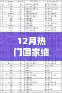 十二月热门国家缩写概览及解析