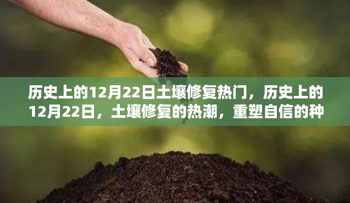 历史上的土壤修复热潮,重塑自信的种子在12月22日破土而出