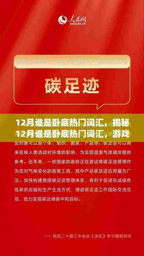 揭秘十二月卧底游戏热门词汇,语言魅力的背后