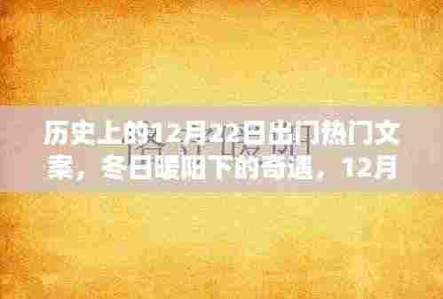 冬日暖阳下的温馨之旅,12月22日的出门奇遇与历史文案回顾