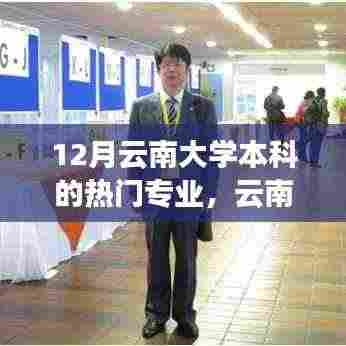 云南大学十二月热门本科专业深度解析,价值与挑战探索