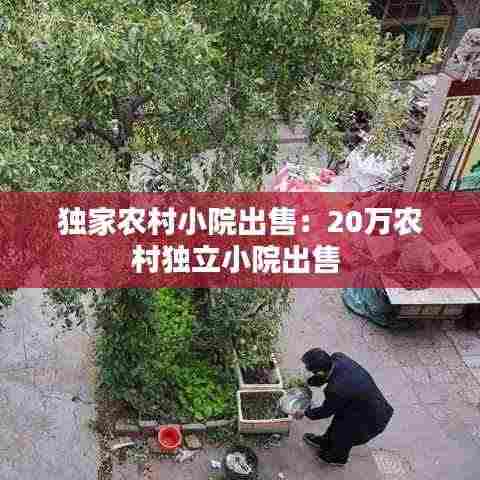 独家农村小院出售：20万农村独立小院出售 