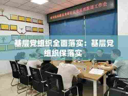 基层党组织全面落实:基层党组织保落实