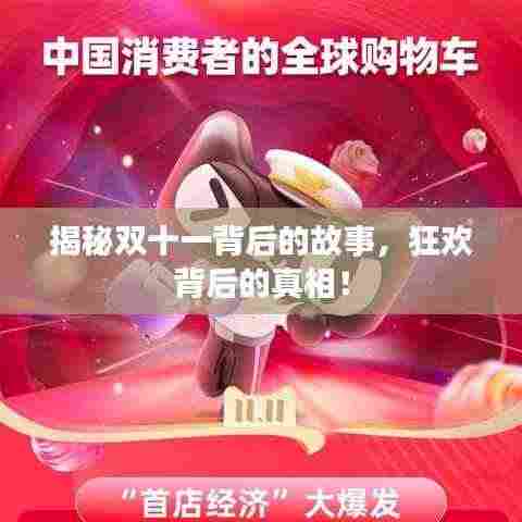 揭秘双十一背后的故事，狂欢背后的真相！