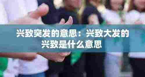 兴致突发的意思:兴致大发的兴致是什么意思