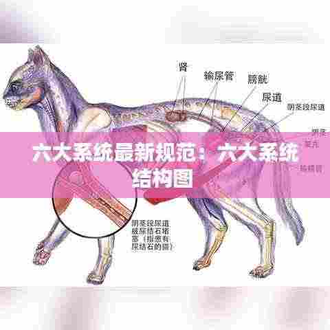 六大系统最新规范：六大系统结构图 