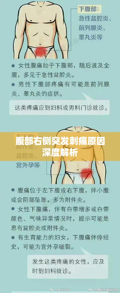 腹部右侧突发刺痛原因深度解析
