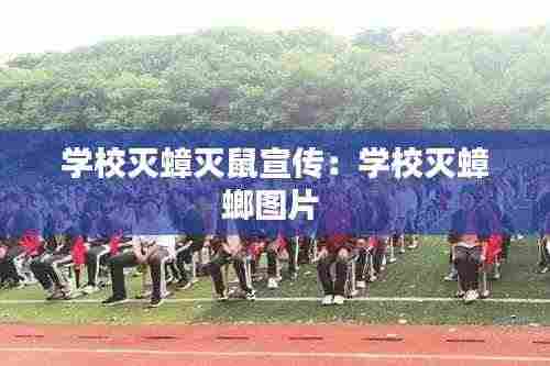 学校灭蟑灭鼠宣传：学校灭蟑螂图片 