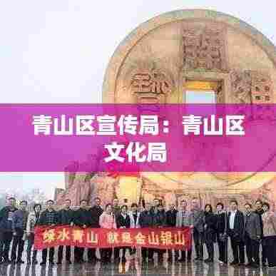 青山区宣传局：青山区文化局 