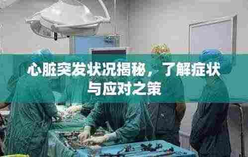 心脏突发状况揭秘，了解症状与应对之策