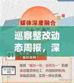 巡察整改动态周报，深度追踪落实进度，成效一目了然