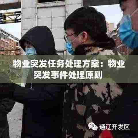 物业突发任务处理方案：物业突发事件处理原则 