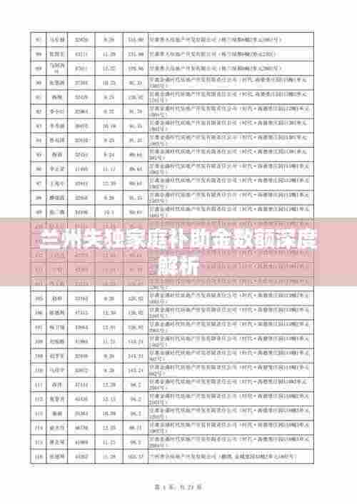 兰州失独家庭补助金数额深度解析
