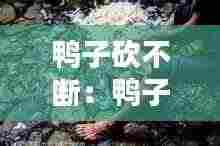 鸭子砍不断：鸭子砍法 